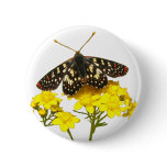Butterfly Yarrow Button