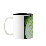 butterfly zebra Tropical mugs