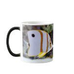 Butterflyfish Morphing Mug