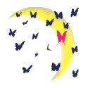 Butterflying t-shirts