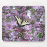 Butterly in blooming tree mouse pad