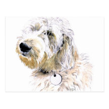 Butters the Labradoodle Postcard