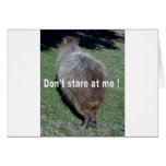 Buttocks of the Capybara-1 cards