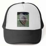 Buttocks of the Capybara-1 hats