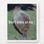Buttocks of the Capybara-1 mousepads