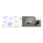 Buttocks of the Capybara-2 bumper stickers