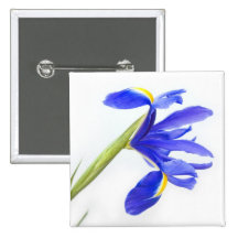 Button Badge - Purple Iris Flower