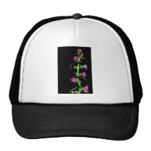 Button Blazingstar Hat