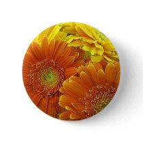 Button, "Orange and Yellow African Daisies"