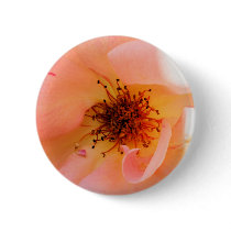 BUTTON - Peachy Rose