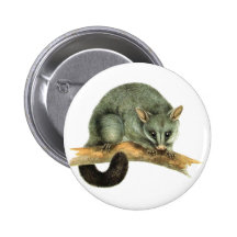 Buttons - possum