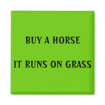BUY A HORSE - magnet