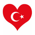 Buy Turkey Flag t-shirts