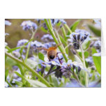 Buzz!  Busy Bee Backside Card
