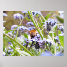 Buzz!  Busy Bee Backside Print