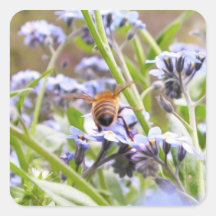 Buzz!  Busy Bee Backside Square Sticker