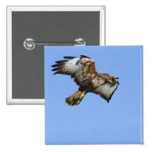 Buzzard  1 pin