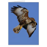 Buzzard  2 cards