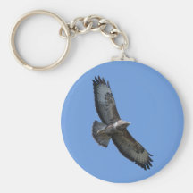 Buzzard  Bird of Prey Keychain