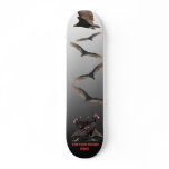 BUZZARD BOARD PRO skateboards