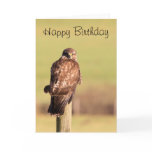 Buzzard cards
