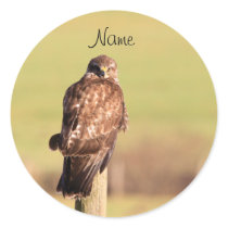 Buzzard Sticker