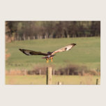 Buzzard Take Off Print