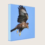 Buzzard Wrapped Canvas canvas prints