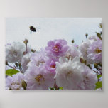 Buzzing Around posters