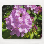Buzzing Over a Lavender Rhododendron mousepads