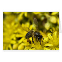 Buzzy bee greeting card