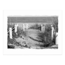 BW Florida beach roped off dune walk photo Postcards