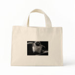 BW Grunge Pointe Shoe Bag