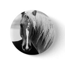 BW Horse Portrait Pinback Buttons
