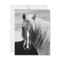 BW Horse Portrait Announcements