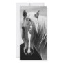 BW Horse Portrait Custom Photo Card