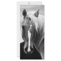 BW Horse Portrait Rack Card Template