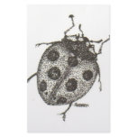 bw_ladybug05 customized stationery