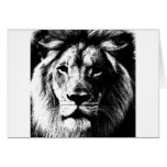 BW Lion Face Greeting Cards