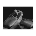 BW Pointe (Ballet) Slippers Postcard