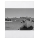 bw river boat flyers