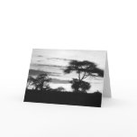 BW Sunset cards