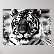 BW Tiger Poster Print Pop Art Style Tigers Posters