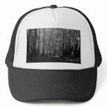 BW Trees