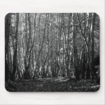 BW Trees