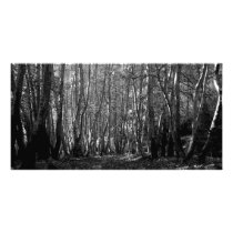 BW Trees