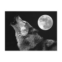 BW Wolf Howling at Moon