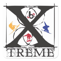bX Barrel X Limited "X" Treme Square Sticker