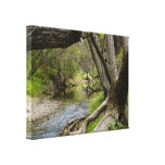 By The Creek canvas prints