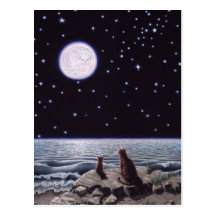 By the Light of the Cat Fish Moon Post Card